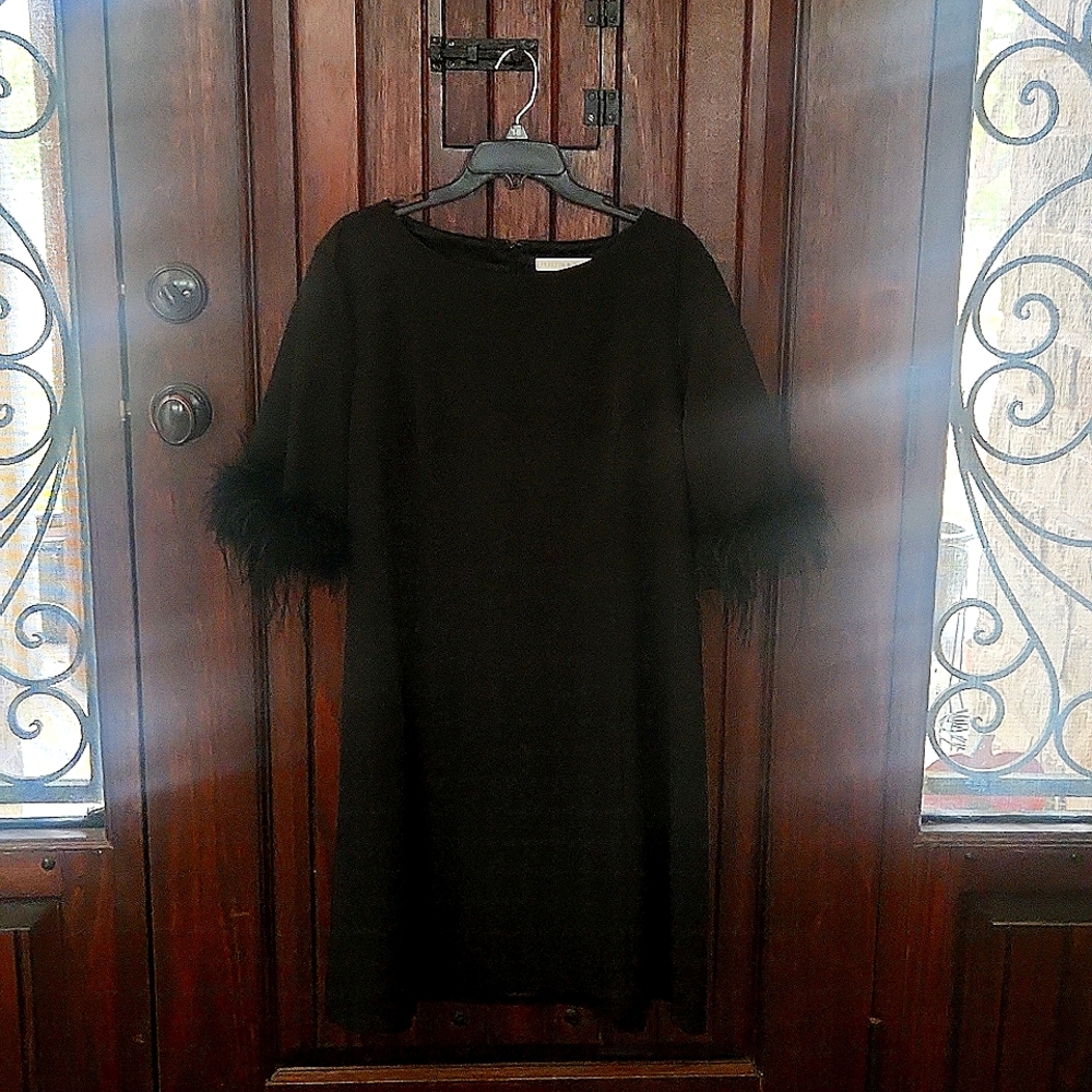 Preston and york feather sleeve dress